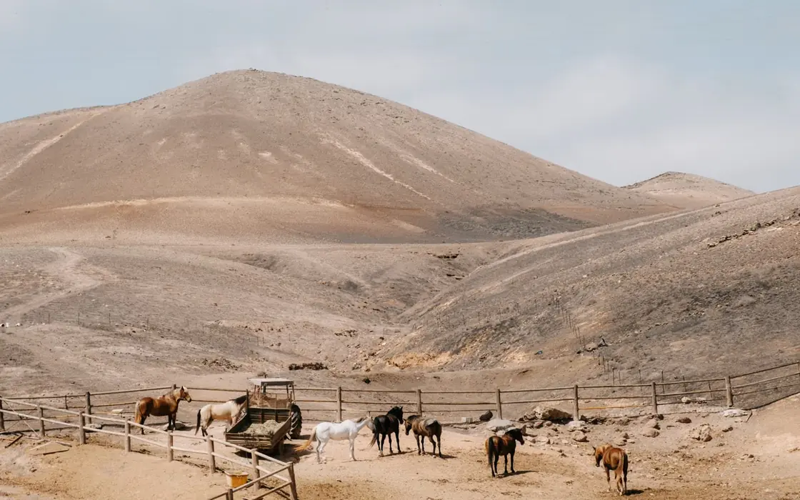 Lanzarote, Spain