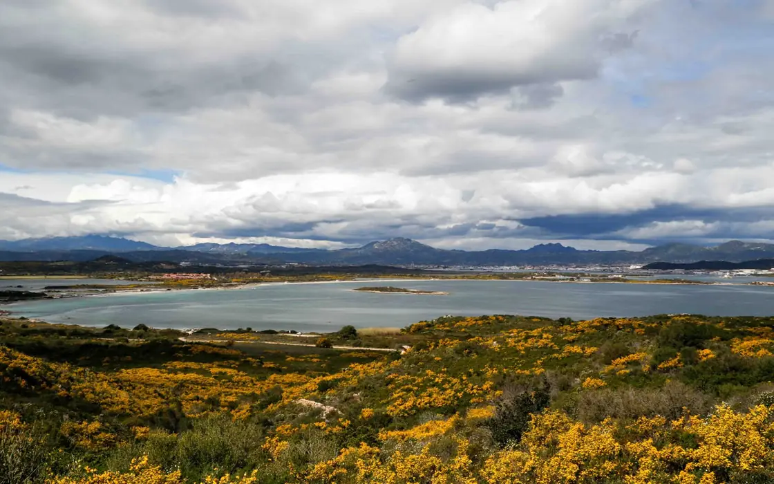 Olbia